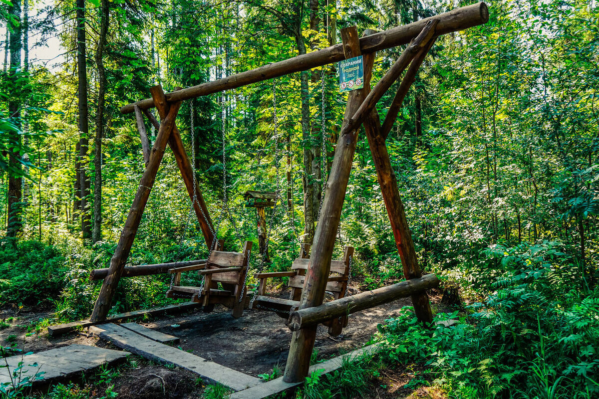 Экологическая тропа «Заповедный лабиринт» в ЖК «Новое Сертолово»