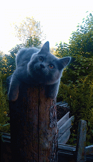 Митяй Мартяй солнечный