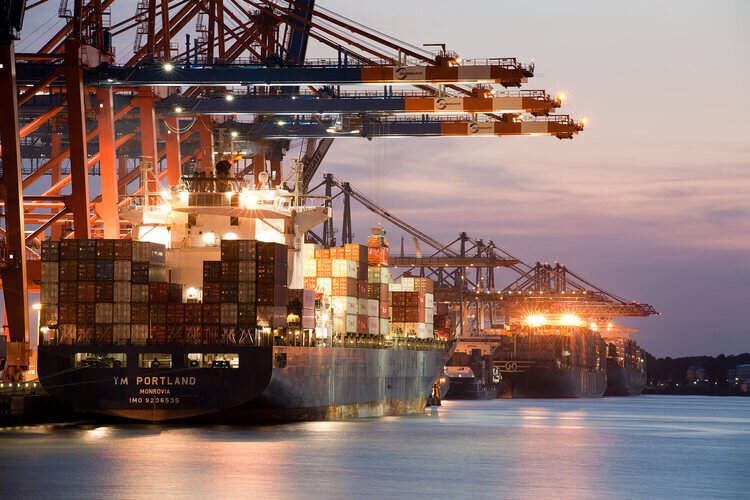 Фото из открытых источников.