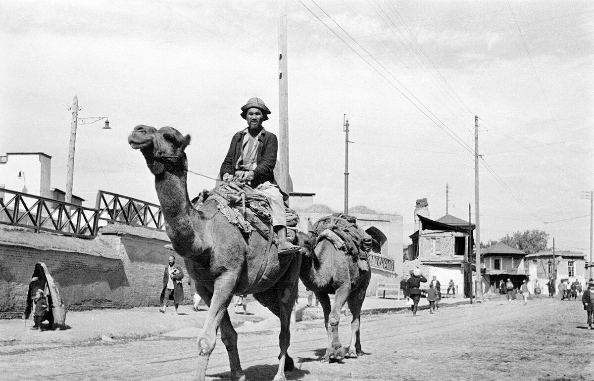 Источник фото: https://fotostrana.ru/public/post/235888/1179274578/