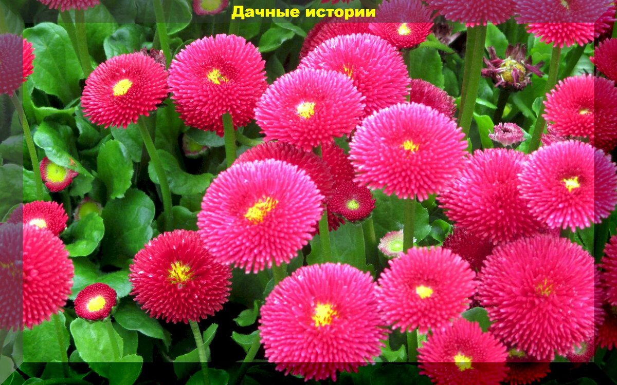 https://vk.com/photo-159774511_457250233