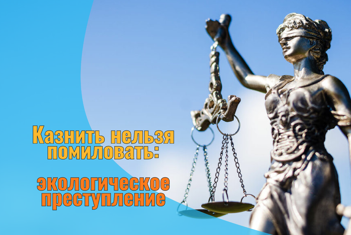Экологическое преступление в России