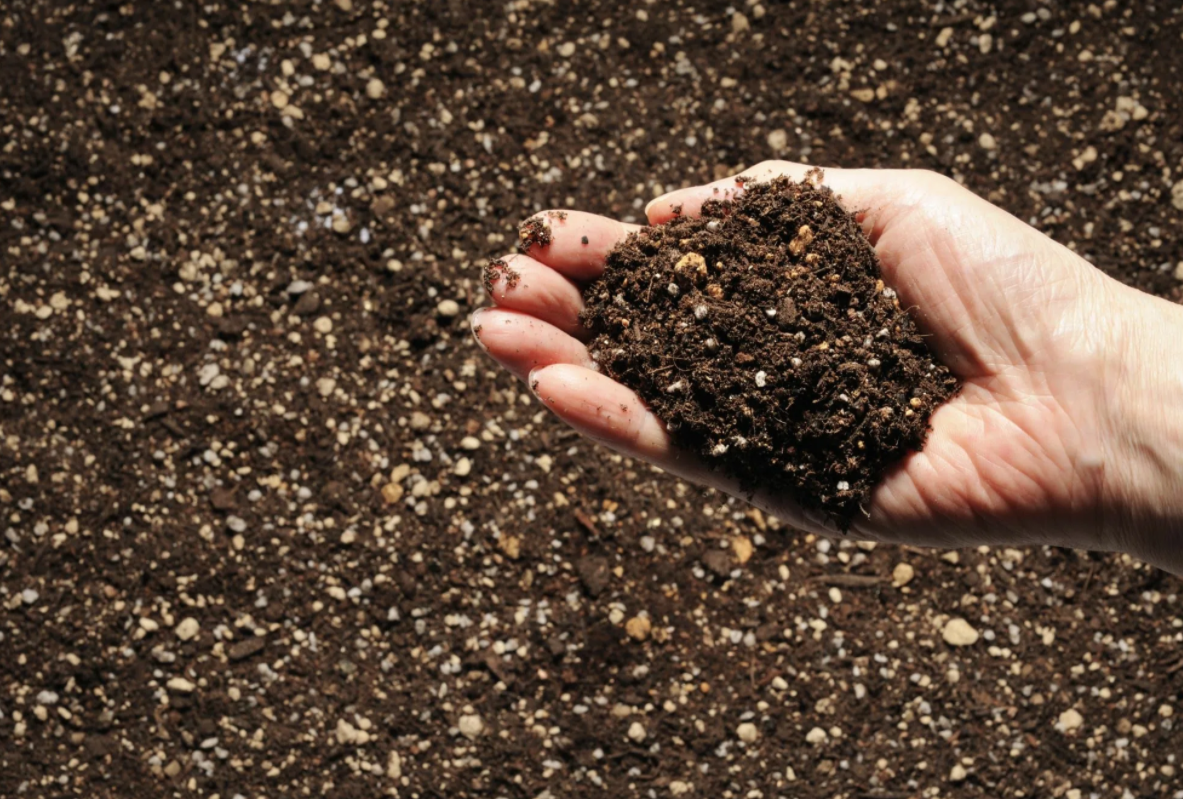 Почва. Минеральная почва. Минерализация почвы. Минералы в почве.