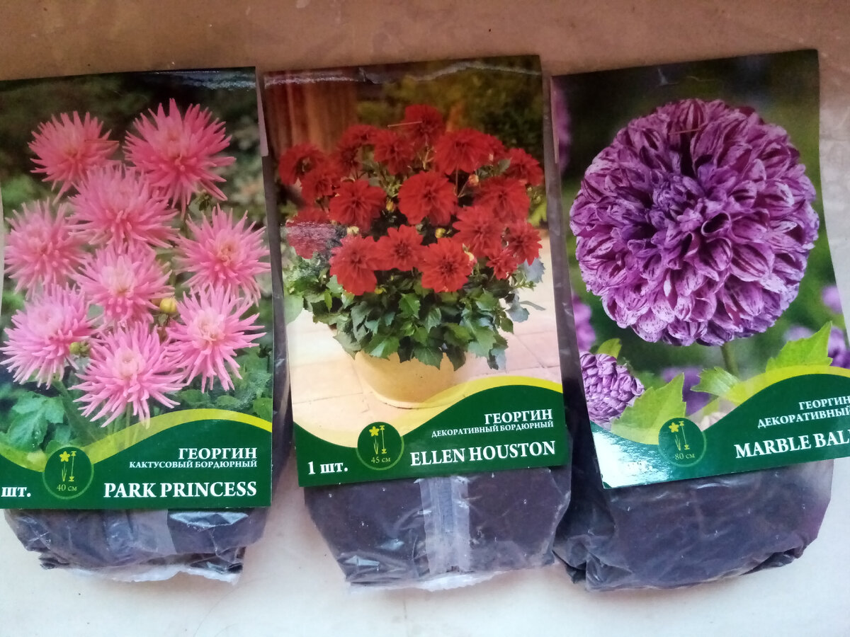 Мои приобретения 