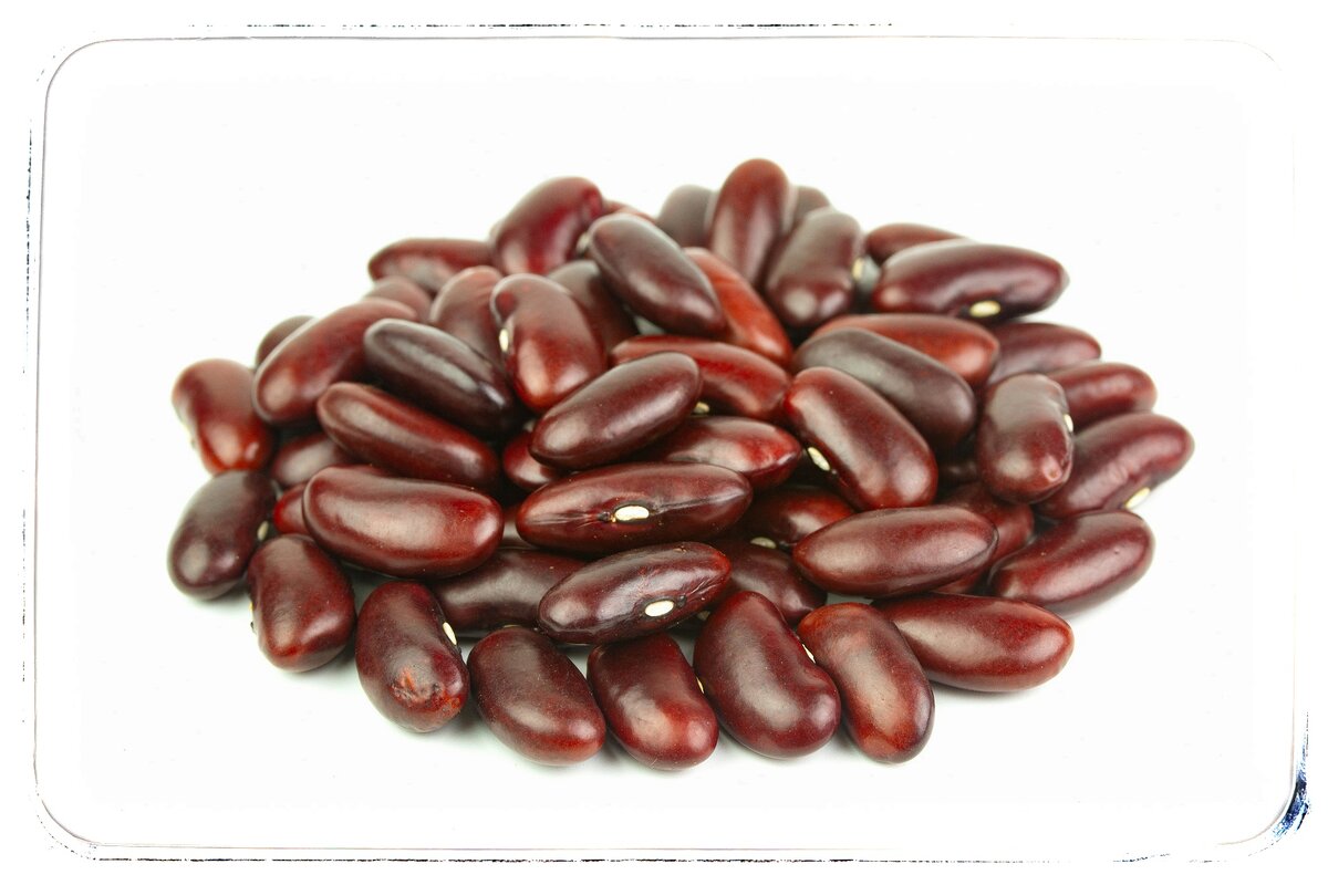 Фасоль 4. Фасоль красная. red beans. семя фасоли фото. one bean.