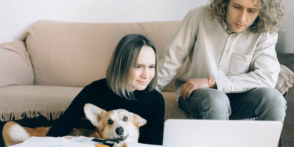 Создатель фото -Nataliya Vaitkevich pexels 