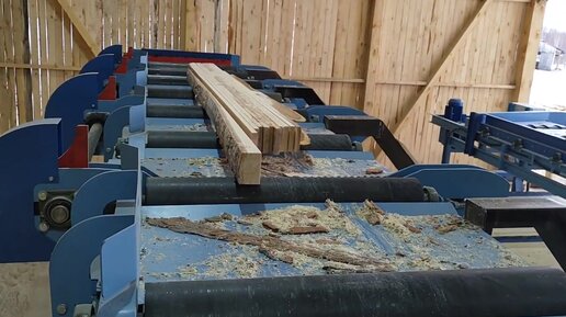 Распиловка короткомерной мороженой березы 2,5 м на лесопильной линии ...