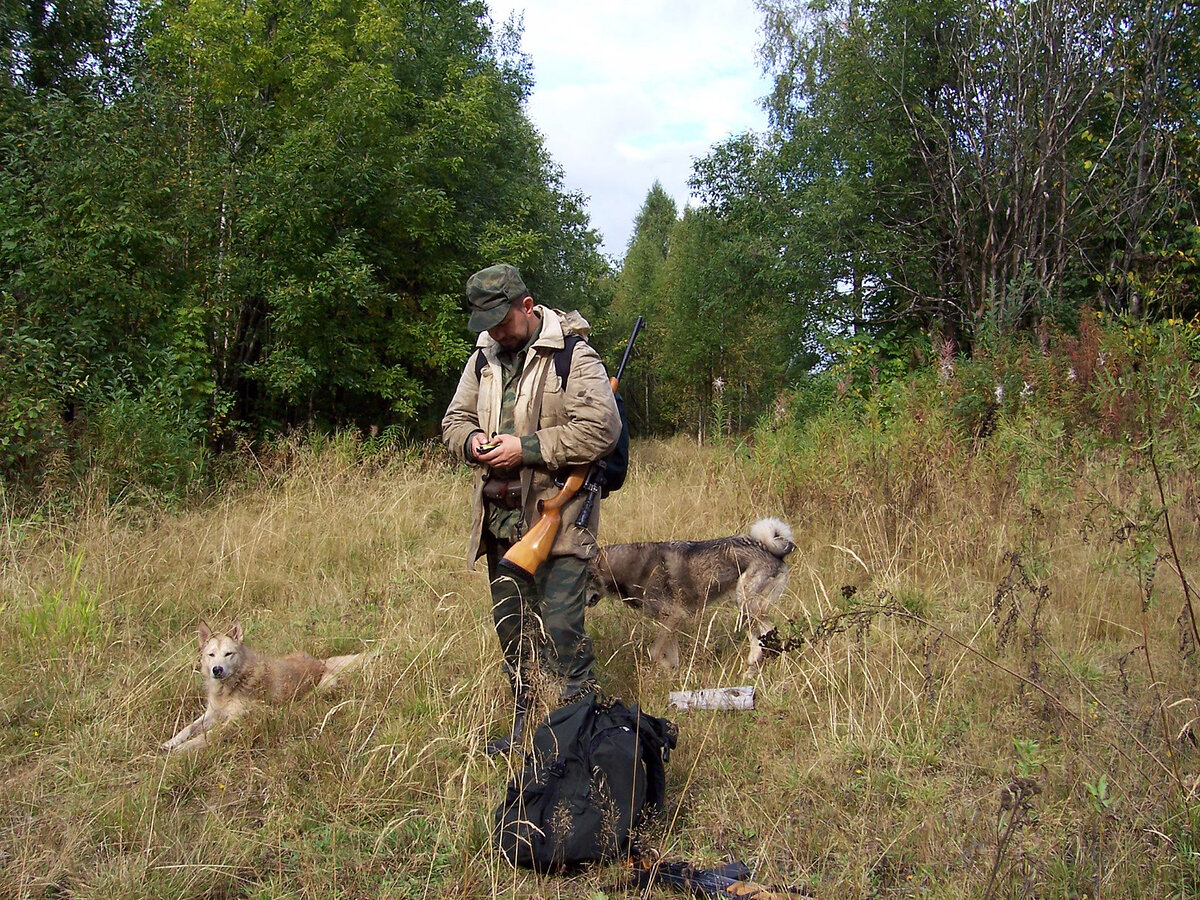 Нападение медведя. Первый медведь. | as-hunter | Дзен