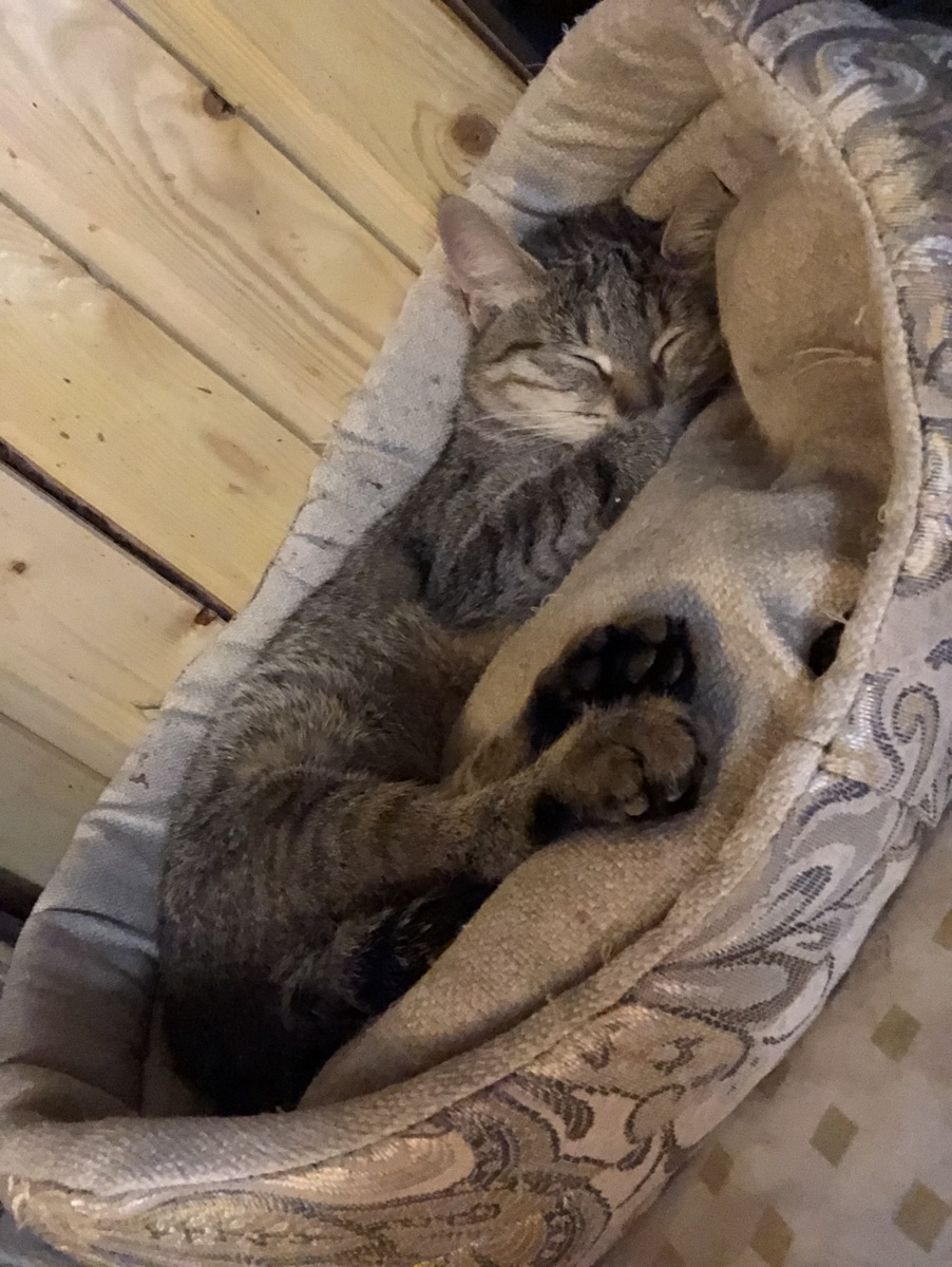 Метро даётся тяжелее всех