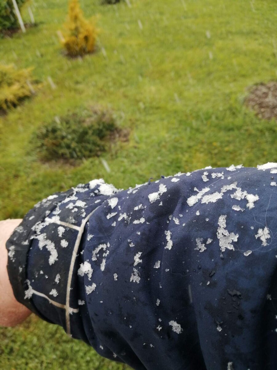 Фото автора.