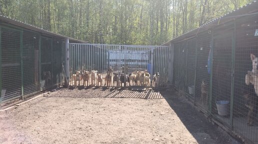 Можно сколько угодно ругать государство, но