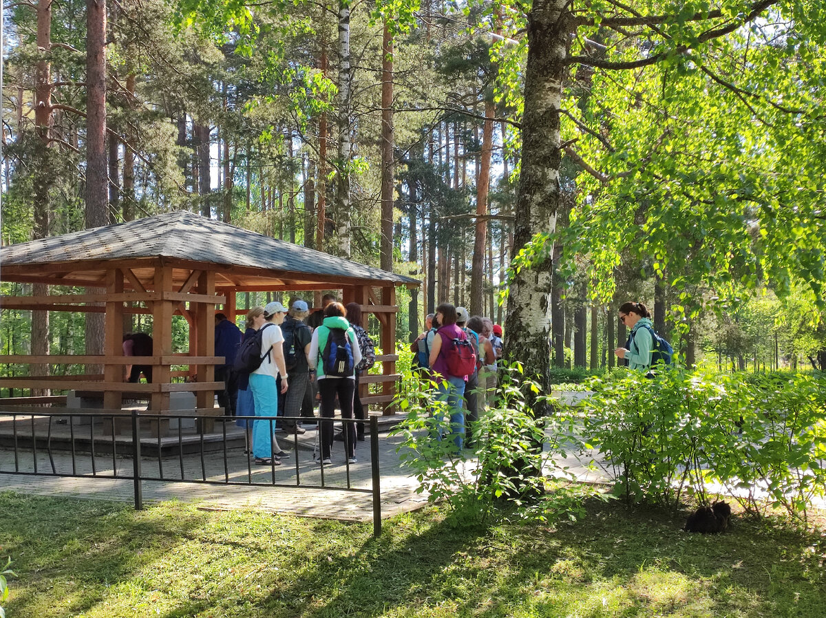 Сбор группы