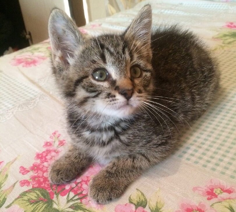 взято на Я.картинки