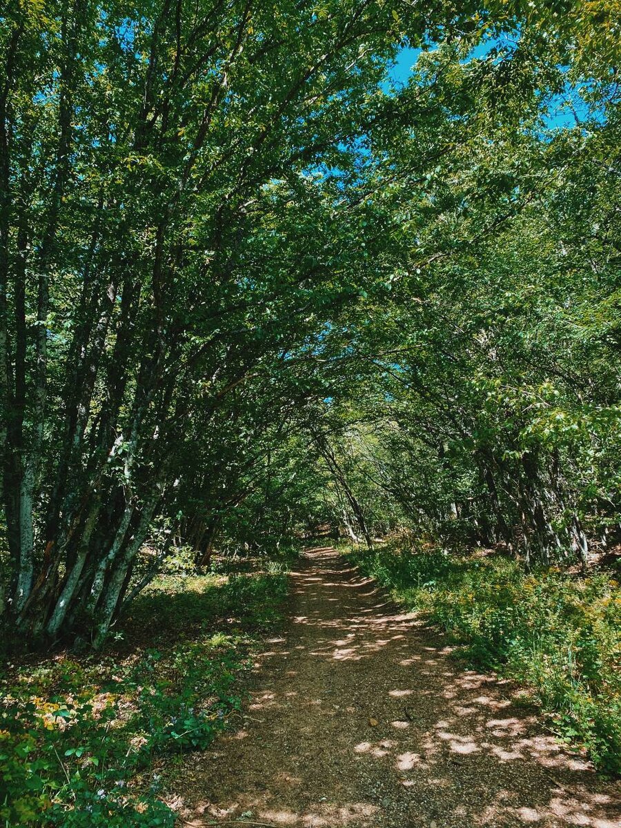 Хайкинг от села Резервное к пляжу Инжир