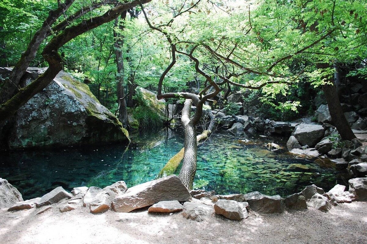 алупкинский парк в крыму