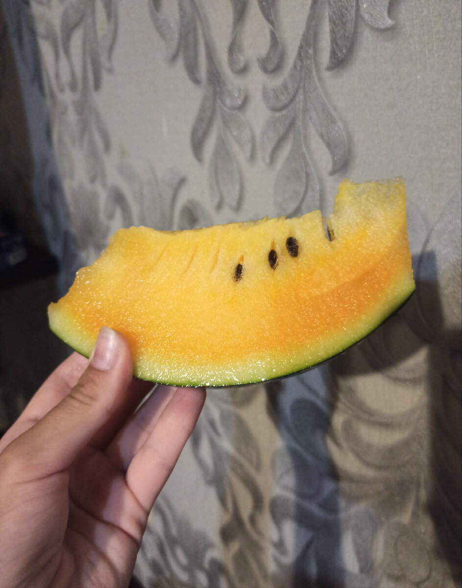 Купили на море.