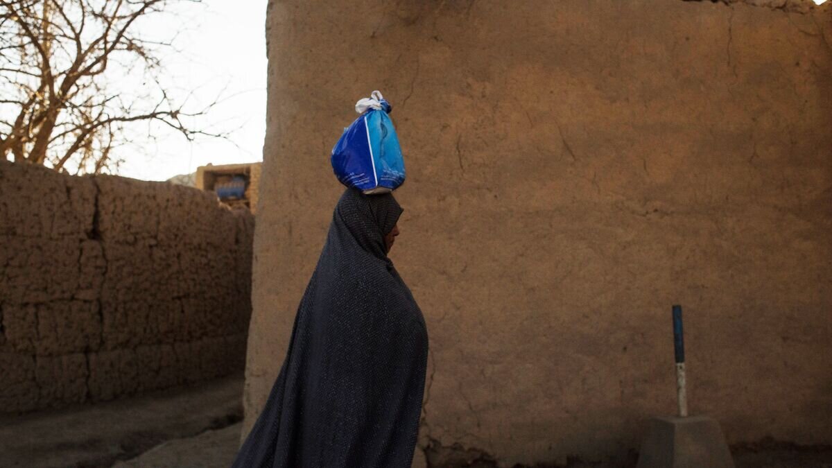    Женщина несёт пакет в одном из сел в провинции Бамиан в Афганистане© РИА Новости / Валерий Мельников