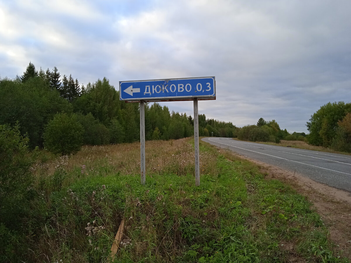 Фото автора, 4 сентября 2022г.