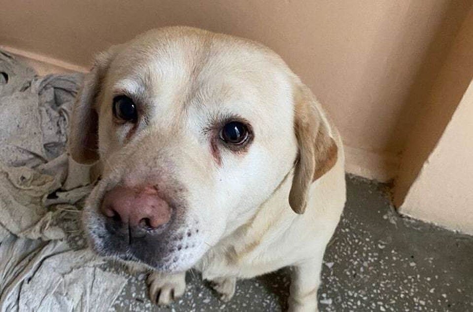     Фото: Пресс-служба УФССП по Волгоградской области