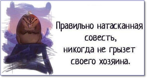 Фото взято из открытых источников