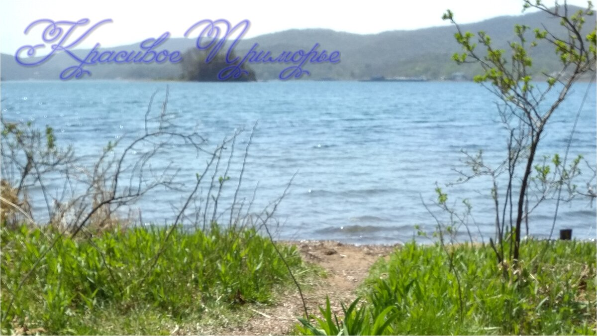 Весенние берега