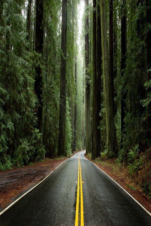 pinterest.com