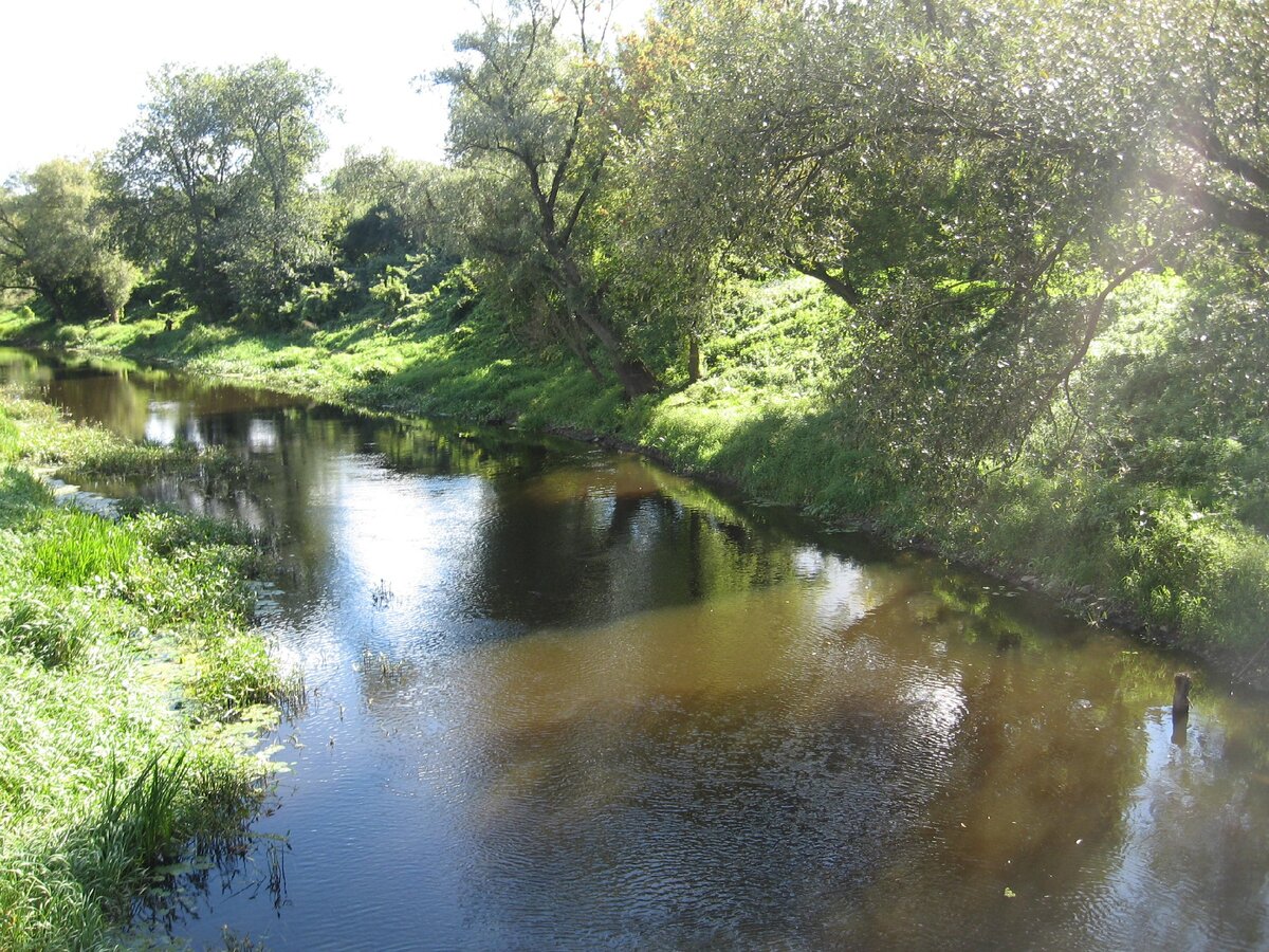 Река Мухавец.