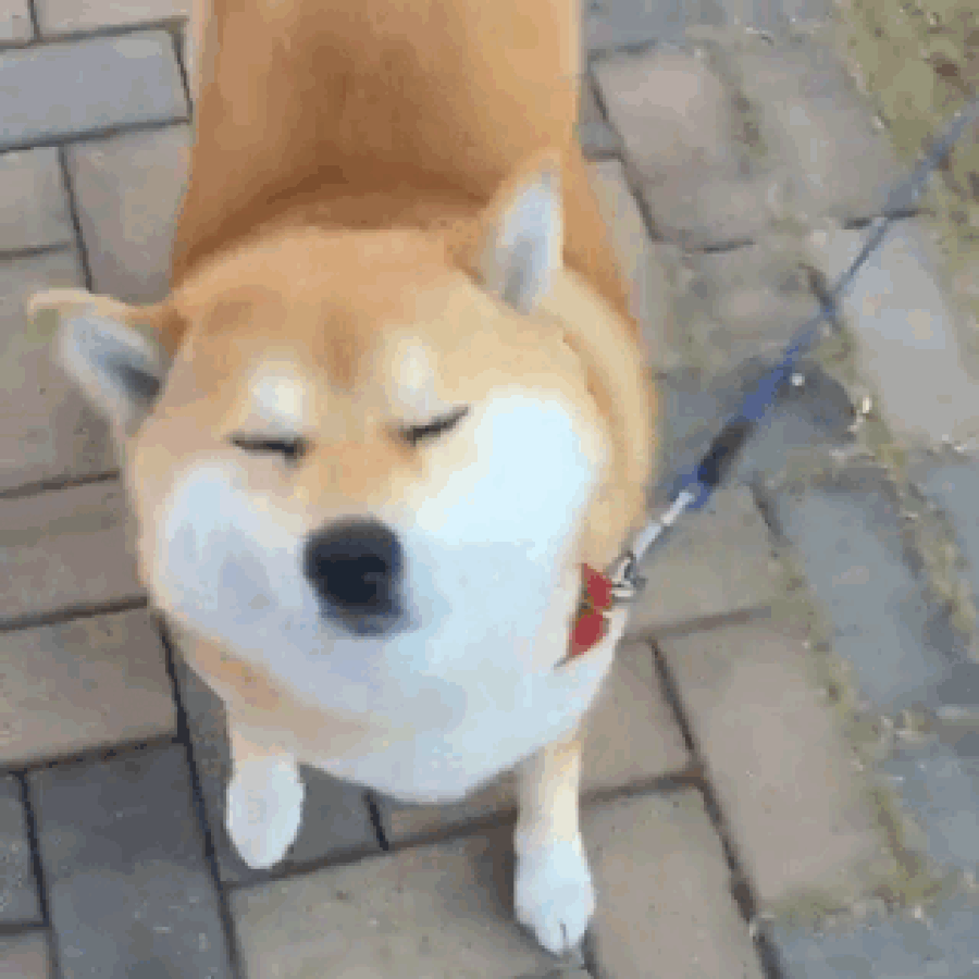 -4