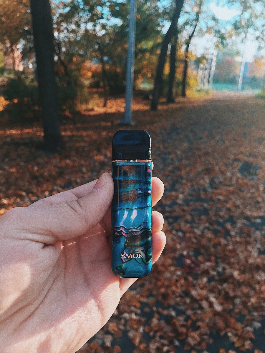 Внешний вид