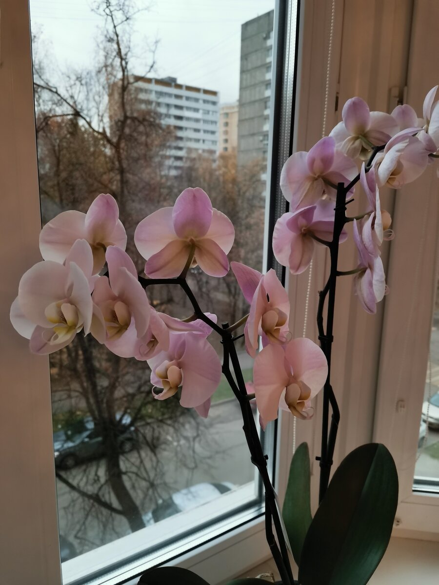 Ставьте "лайки" и подписывайтесь на мой канал!