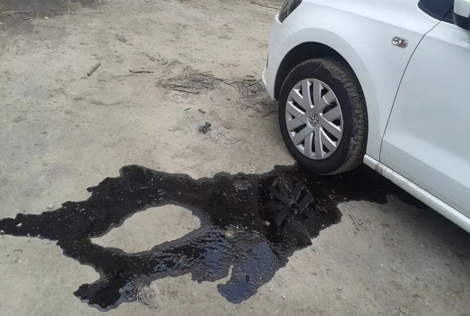 Фото взято с сервиса Яндекс.Картинки