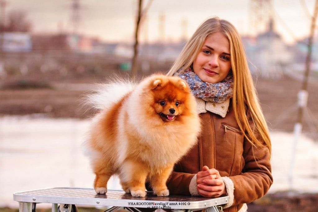 Фото из открытого источника