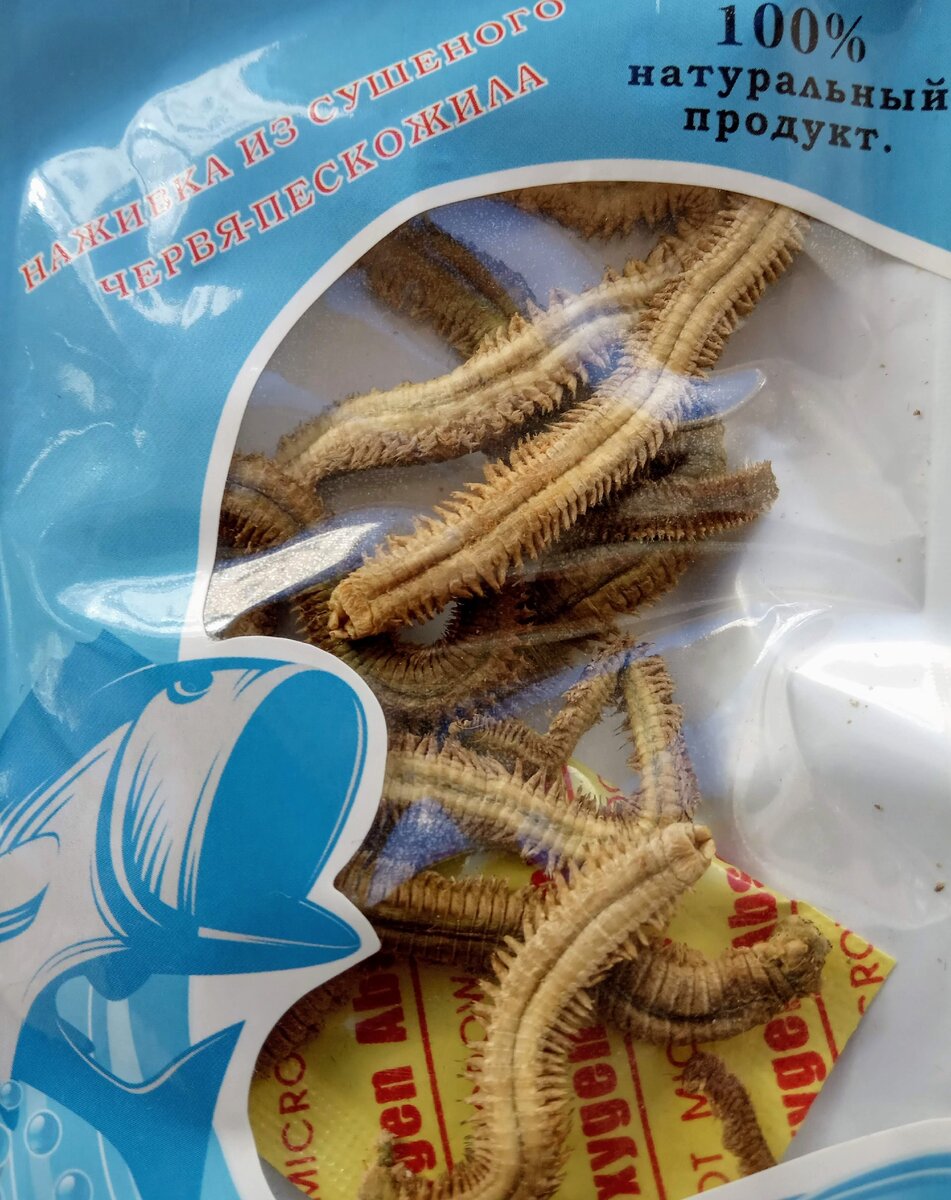 Сухой червь. Нереис морской червь для рыбалки. Сухой червь нереис.