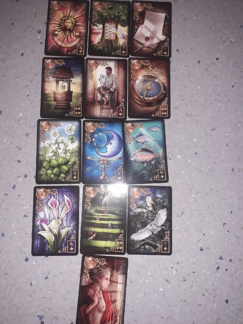 вариант с кактусом