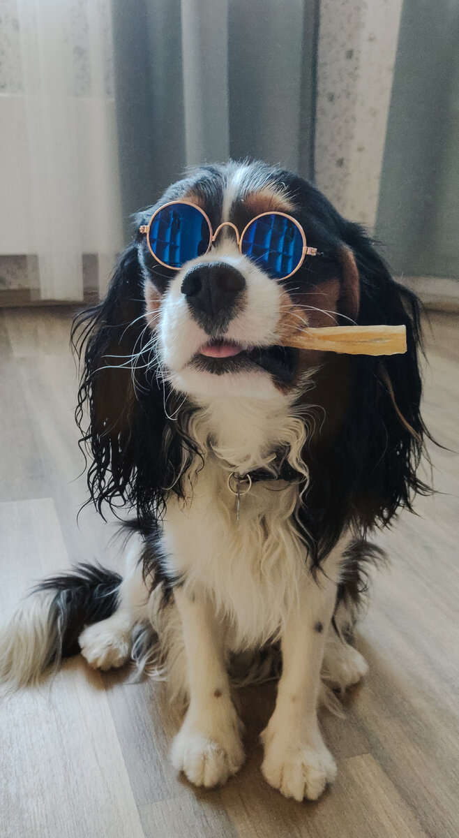                                                                             Чарльз в образе 😎