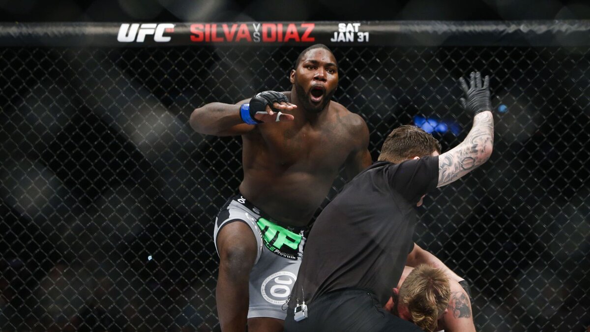 Энтони Джонсон  -был элитным полутяжем в UFC.  фото: картинки яндекса. 
