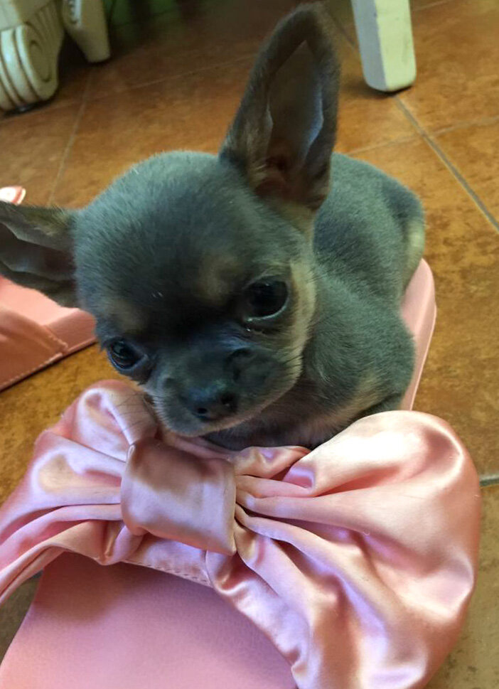 Флорида Натальевна примеряет обувь