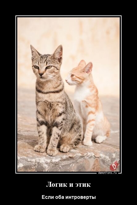 Готовые демы закончились, поэтому делаю сама)