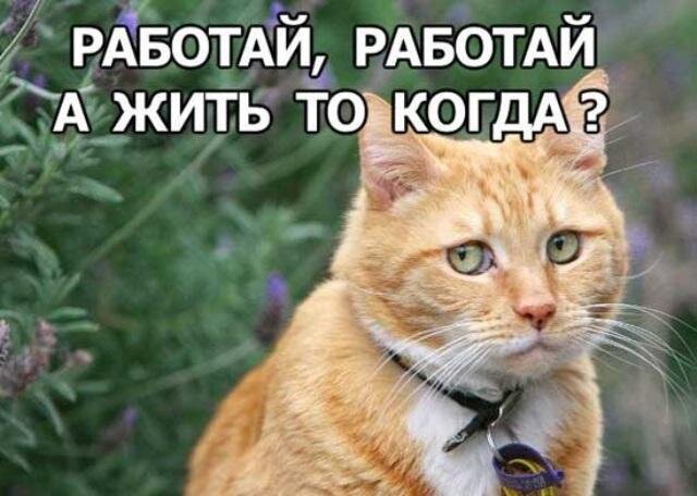 Фото из интернета.