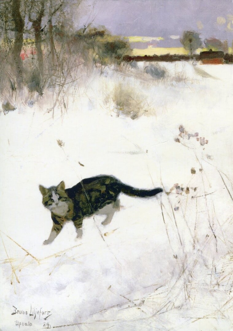 фото использовано в качестве иллюстрации. Источник "Яндекс.Картинки"