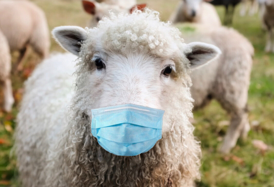 Это человек?