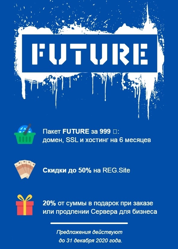 Рекламный проспект хостинг провайдера REG RU