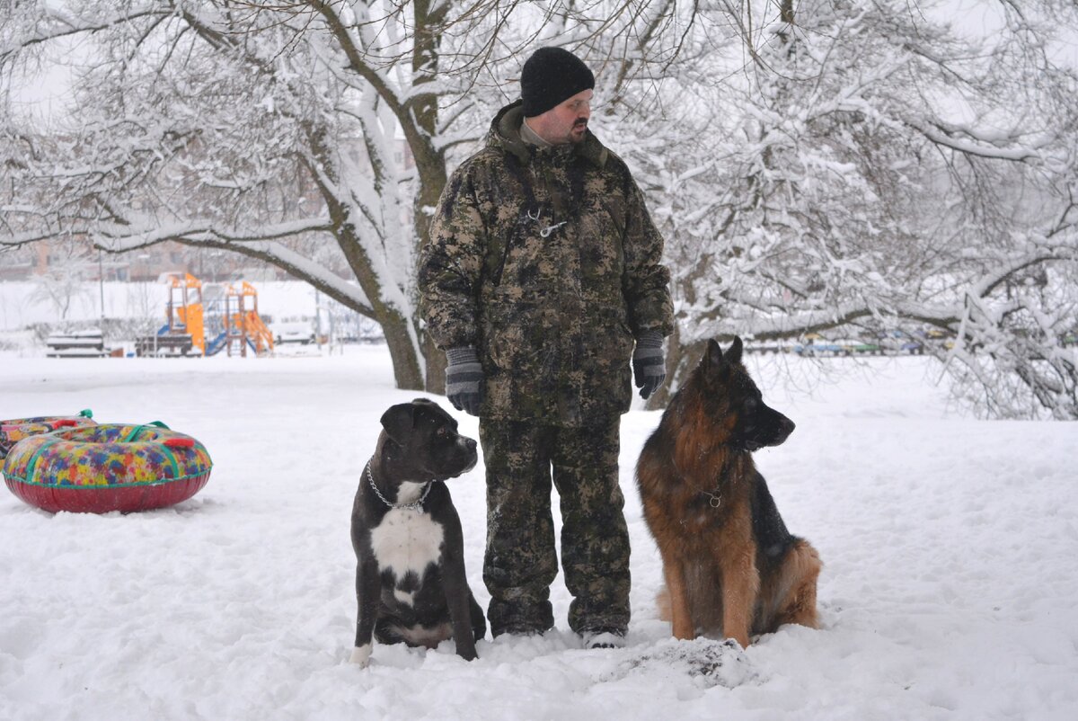 Там что-то жутко интересное...