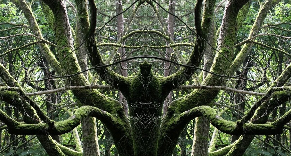 Многогранное восхищение красотой с точки зрения физика-теоретика.