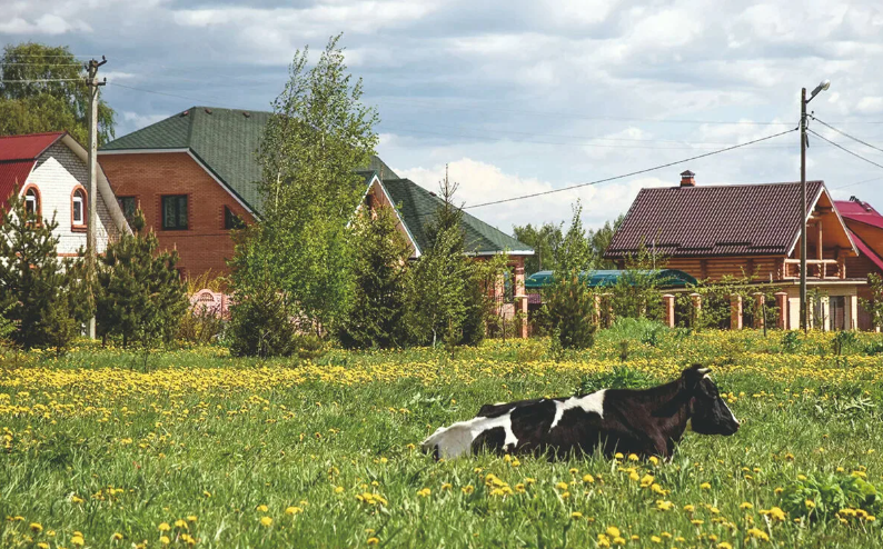 Благоустроенная деревня. Источник: яндекс картинки.