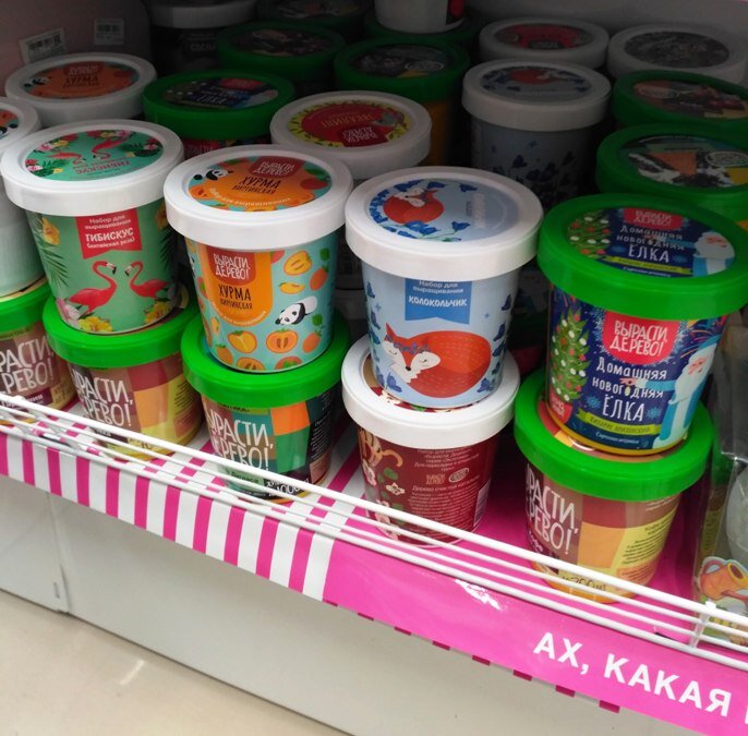 Фото автора статьи