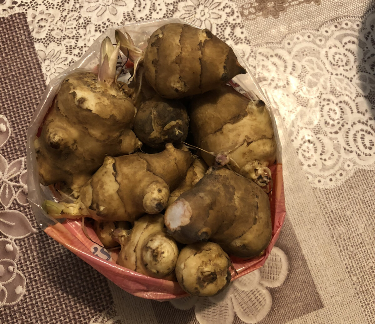 Топинамбур на оладушКи