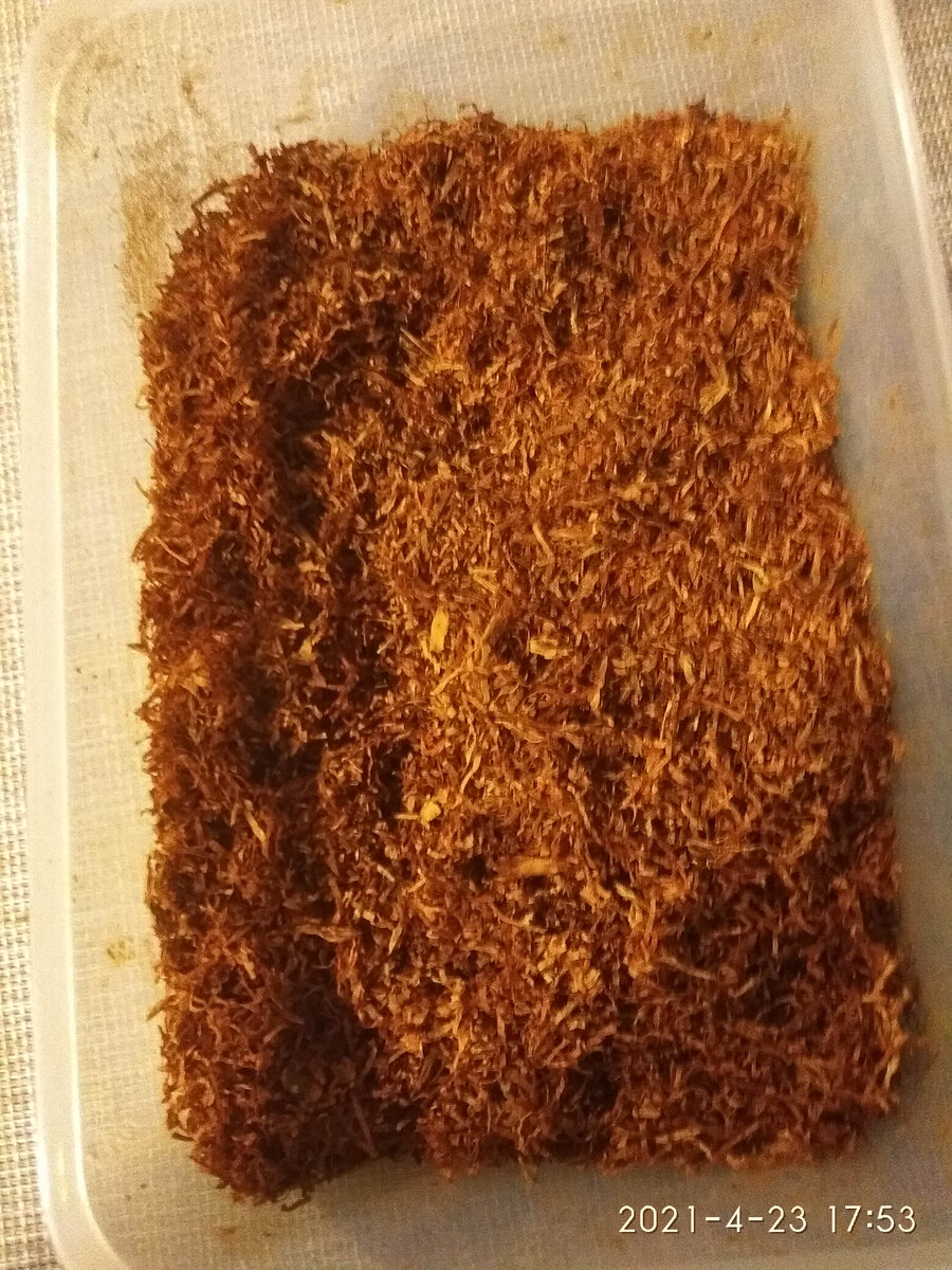 Вирджиния Хорватия