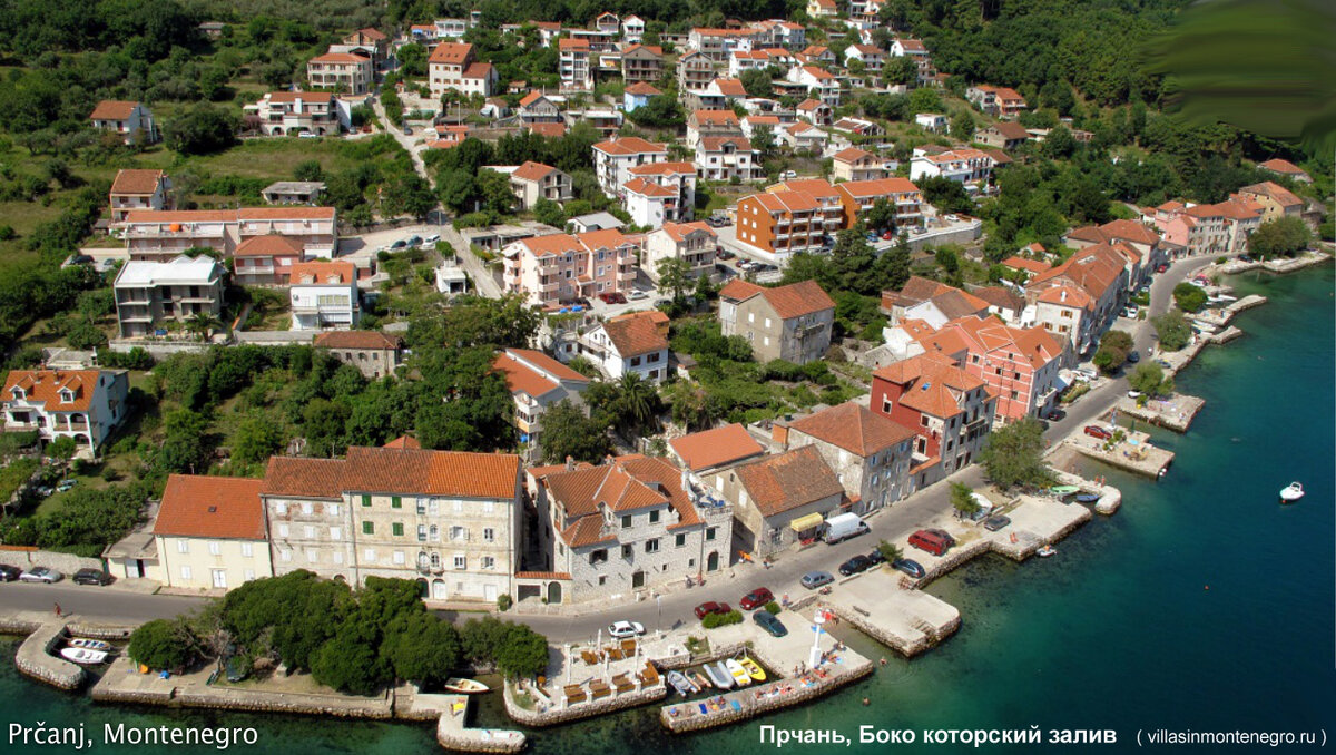 Черногорское гражданство особенности и преимущества недвижимость в Черногории
