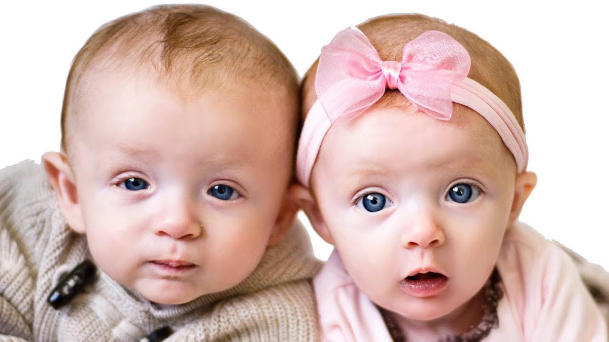 Фото из Я.Картинки бесплатно